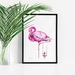 A3 Fine Art Print 'Flamingo's Friend'