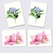 'Hydrangea & Lillies' Greeting Card Set of 4