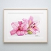 A4 Fine Art Print 'Pink Lillies'