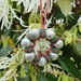 Wreath Christmas Ornament - handwoven micro macrame