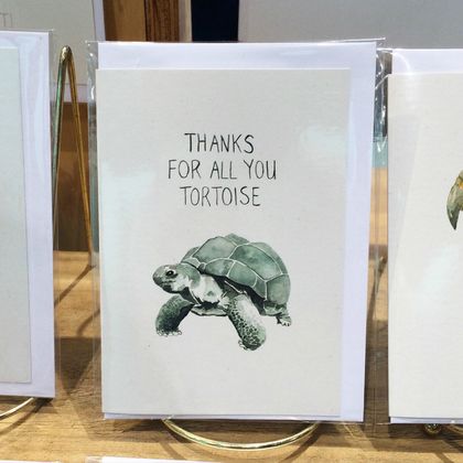 Thanks For All You Tortoise 