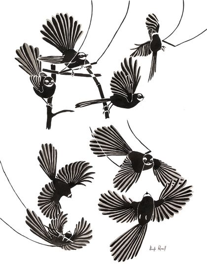 The Acrobatic Fantail - 5 Cards