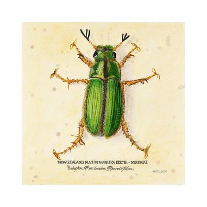 Beetle Kerewai Art Paper Giclee Print A3 (archival paper, unframed)