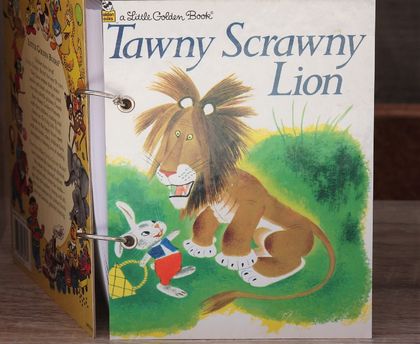 Tawny Scrawny Lion Refillable Notebook
