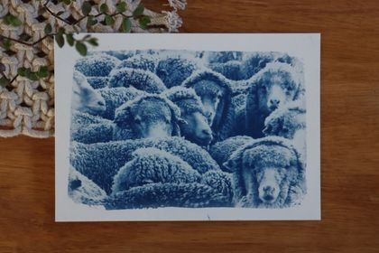 Rural Sheep Cyanotype Print