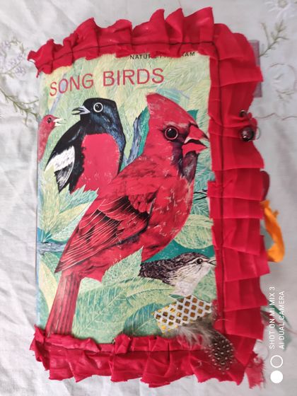 Song Birds an altered book