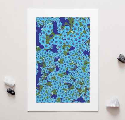 Chatham Is Forget-Me-Not NZ Native Flowers – A4 Art Print