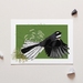 Piwakawaka – Fantail on Green – A4 Art Print