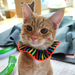 Reflective Cat Scrunchie - Carnival Stripes