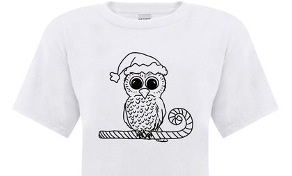 Christmas Ruru Colour Your Own T-shirt 