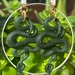 Resin Snake 18K Gold plated studs with Rhinestones