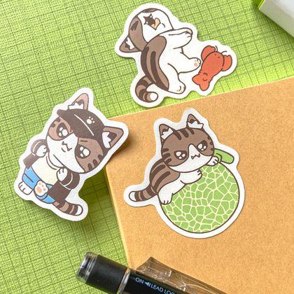 Mellon the Cat Sticker Set  (3pcs)