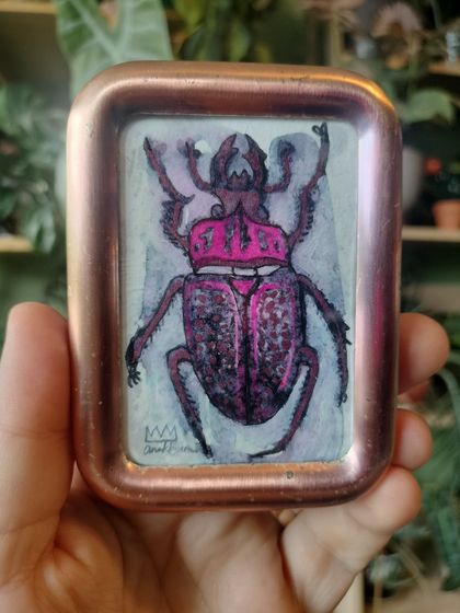 Lucky pink beetle