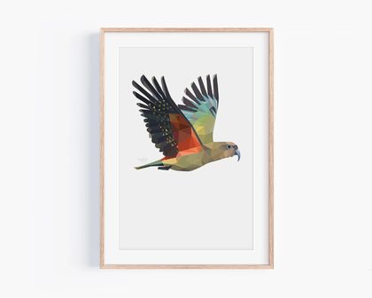 Kea Print ~ New Zealand Art ~ New Zealand Birds ~ Wall Art