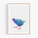 Takeke Print ~ Takehe Fine Art Print ~ New Zealand Paintings ~ Bird Poster ~ Minimal Print