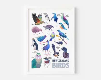 Bird Poster ~ New Zealand Birds ~ Kiwiana Art ~ NZ Gift