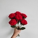Forever Roses flowers (Great gift)