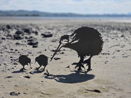 Kiwi Family