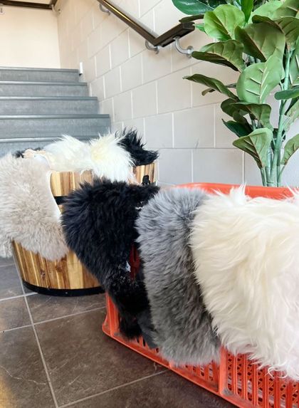 Small Long Wool Sheepskin Offcuts (Assorted Colours)