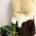 XLarge Long Wool Sheepskin Offcuts (Assorted Colours)