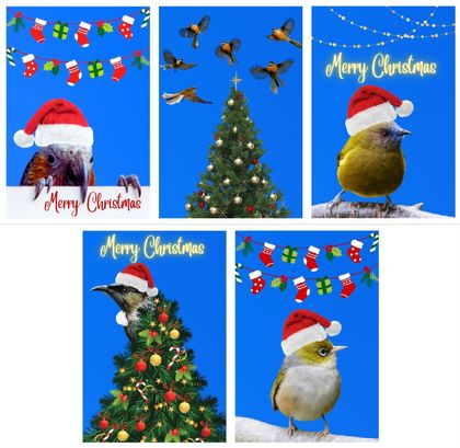 Christmas Cards - Local, Native Birds