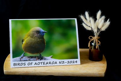 2024 Birds of Aotearoa NZ Calendar