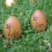 Personalised Wooden Easter Egg - Flowers
