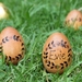 Personalised Wooden Easter Egg - Flower Garland