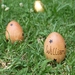 Personalised Wooden Easter Egg x 3  - Stars, Hearts + Flowers