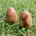 Personalised Wooden Easter Egg - Peter Rabbit