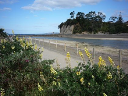 Orewa Beach 13, Orewa River mouth, Orewa, Hibiscus Coast, Auckland, New Zealand, photographic print