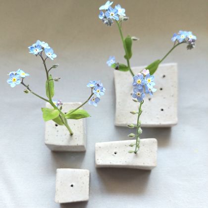 Foraged Flower + Foliage Cubes - Set of 4