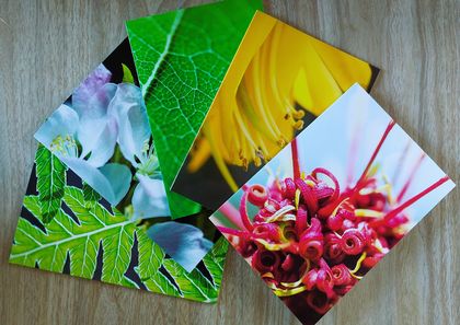 Greeting cards bundle - NZ nature - 5 pack