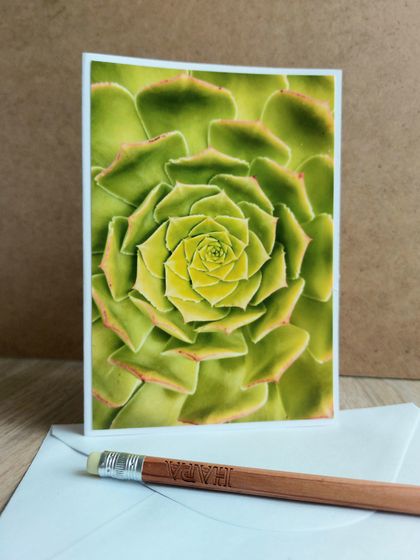 Greeting card - Photograph of succulent 