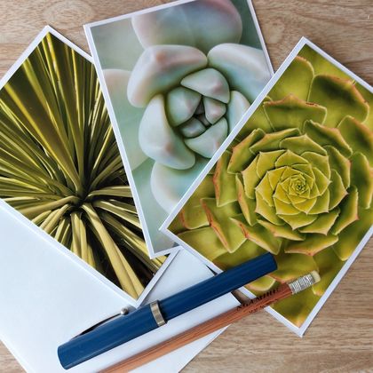 Greeting cards bundle - NZ nature - 5 pack