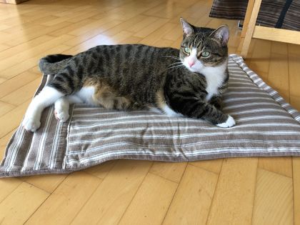 Comfy Flannel Pet Mat 