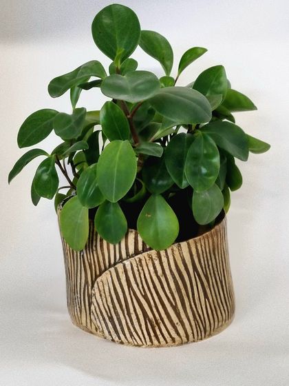 Pottery Decor / Plant Holder