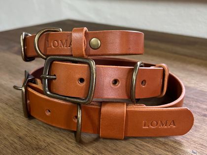 Leather Dog Collars - Medium