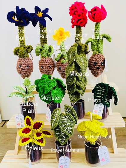 Crochet Plant Collections