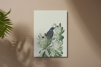 Protea and Tui | Botanical Print