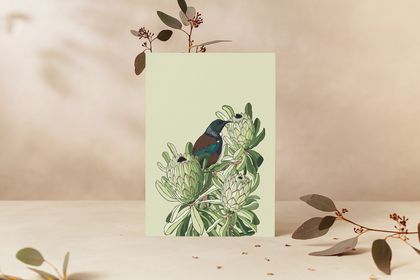 Greetings Card | Protea & Tui