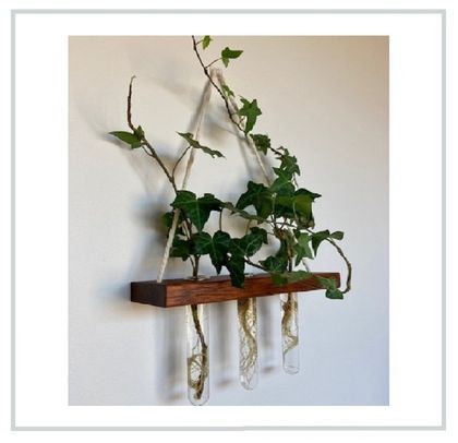 Merbau Propagation Station | Wall Planter | Wall Vase | Gifts For her | Plant Lovers | Hanging Plants | Dried Flowers