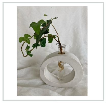 Plant Propagation / Flower Vase with Test Tube