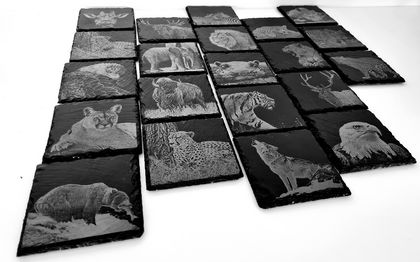 Square Slate Coasters with Animal Engraving - Set of Four