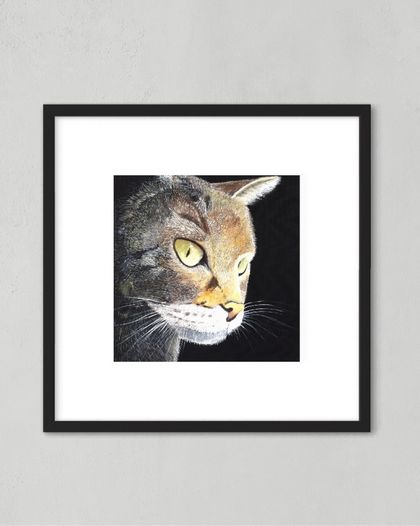 Curious Tabby- Art Prints of Original Oil painting by Robin Jacob