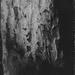 Original handmade tree bark image.
