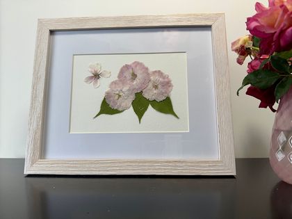 3 Cherry Blossoms with small blossom #2 Pressed Flower Art