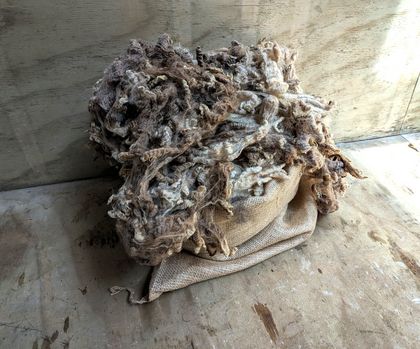 Spider's fleece - variegated moorit romney hogget wool 500g