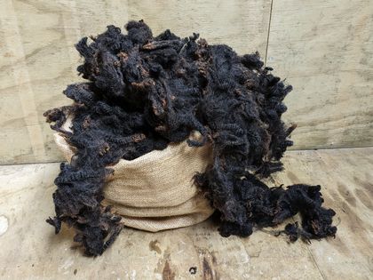 Horse's fleece - Black romney hogget raw fleece 500g
