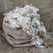 Minime's fleece - Finn x Romney lambswool, white/pale grey raw fleece 500g